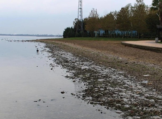 Foto - Endişelendiren görüntü: İlk kez bu sabah gördük
