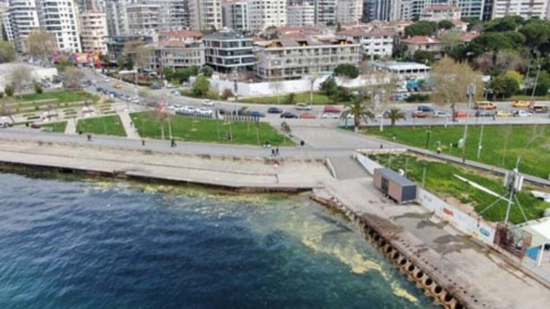 Foto - Endişelendiren görüntü! Müsilaj geri döndü
