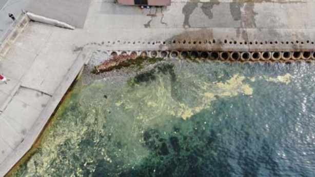 Foto - Endişelendiren görüntü! Müsilaj geri döndü