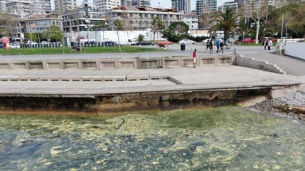 Foto - Endişelendiren görüntü! Müsilaj geri döndü