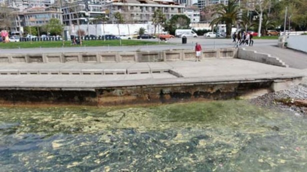 Foto - Endişelendiren görüntü! Müsilaj geri döndü