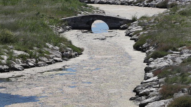 Foto - Endişelendiren görüntü sonrası Büyükçekmece gölü için uyarı