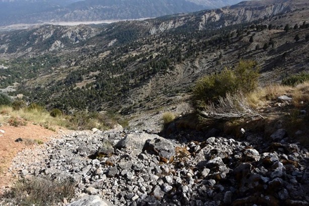 Foto - Endişelendiren olay! Bölge halkı: Bu ilk kez oldu