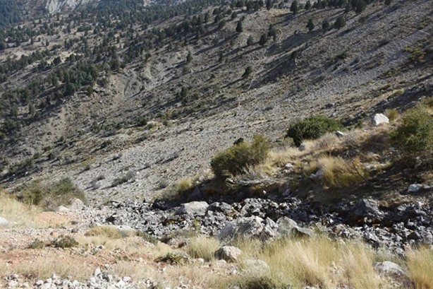 Foto - Endişelendiren olay! Bölge halkı: Bu ilk kez oldu
