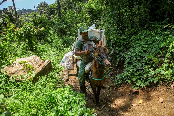 Foto - Endonezya seçime böyle hazırlandı! Turist değil seçim pusulası gezdiriyorlar