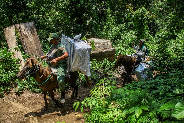 Foto - Endonezya seçime böyle hazırlandı! Turist değil seçim pusulası gezdiriyorlar