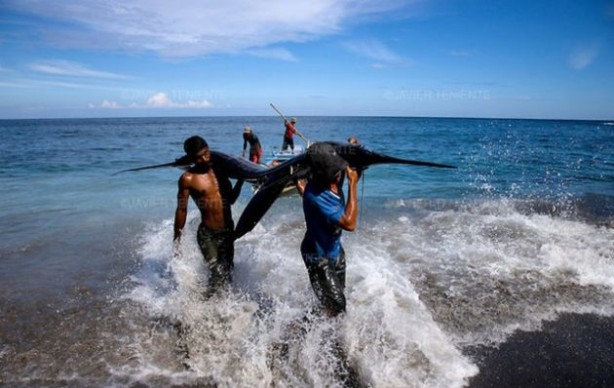 Foto - Endonezya'da sıradışı av