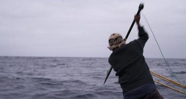 Foto - Endonezya'da sıradışı av