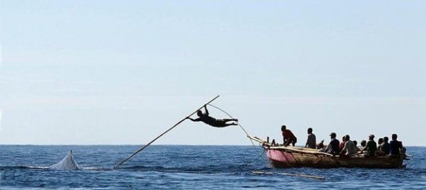 Foto - Endonezya'da sıradışı av