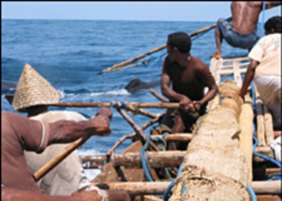 Foto - Endonezya'da sıradışı av