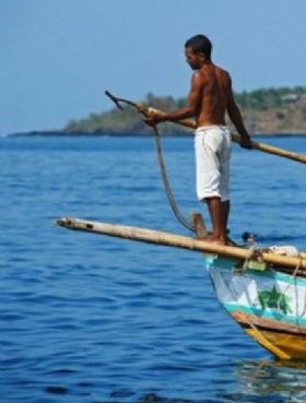 Foto - Endonezya'da sıradışı av
