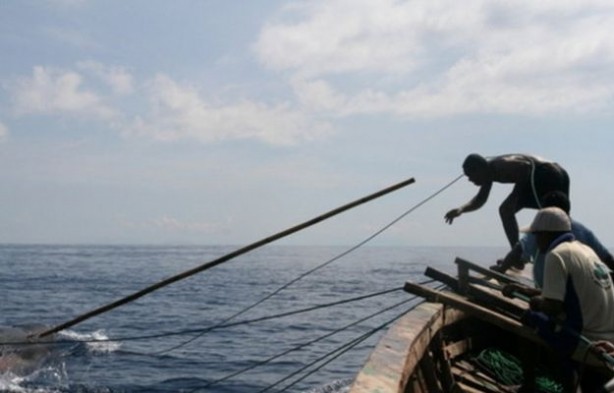 Endonezya'da sıradışı av