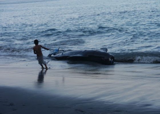 Foto - Endonezya'da sıradışı av