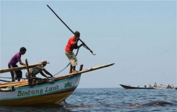 Foto - Endonezya'da sıradışı av