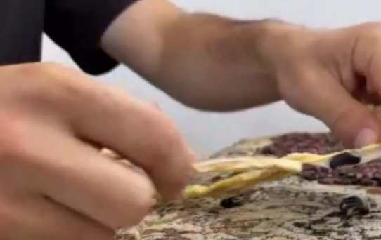 Foto - Endonezya'dan tohum getirdi! Türkiye'de bahçesinde yetişiyor! Kendi küçük ama inanılmaz yoğun gelen talep var!