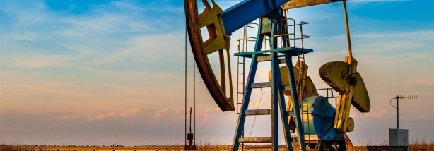 Foto - Petrol devi az önce Türkiye'ye ilan etti: Orada petrol bulduk, izin verin çıkaralım