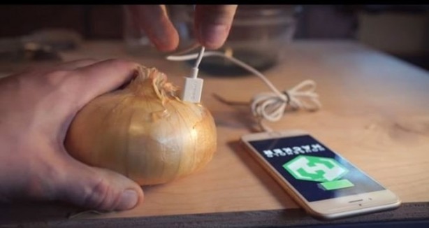 Foto - Enerji içeceği ve soğanla telefonunuzu şarj edin!