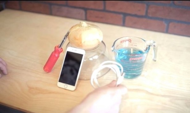 Enerji içeceği ve soğanla telefonunuzu şarj edin!