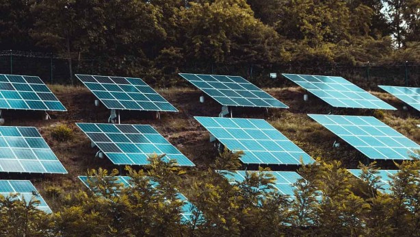 Foto - Enerji üretimi için mezarlıkların üstünü güneş panelleriyle kapatıyorlar!