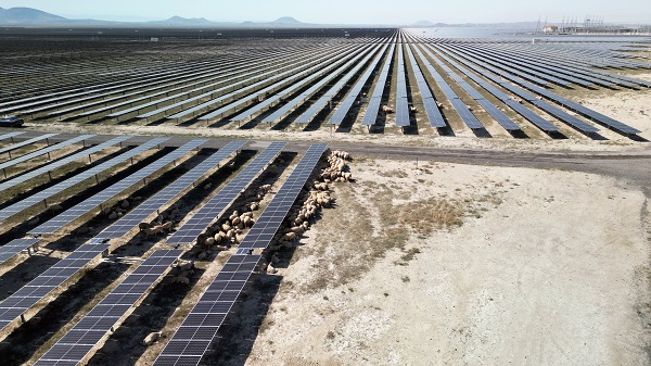 Foto - Enerjide emin adımlarla yola devam! Türkiye’nin devasa projesi için geldiler