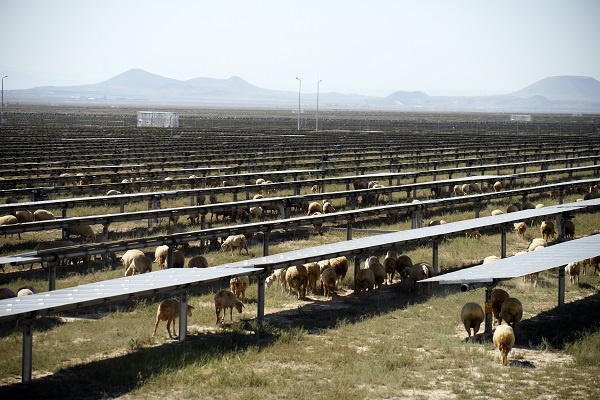 Foto - Enerjide emin adımlarla yola devam! Türkiye’nin devasa projesi için geldiler