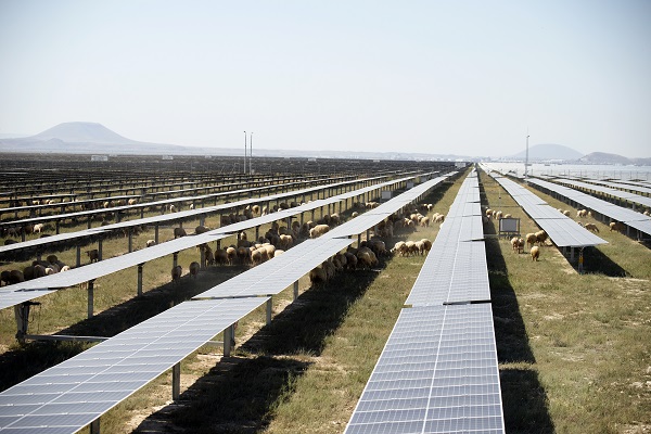 Foto - Enerjide emin adımlarla yola devam! Türkiye’nin devasa projesi için geldiler