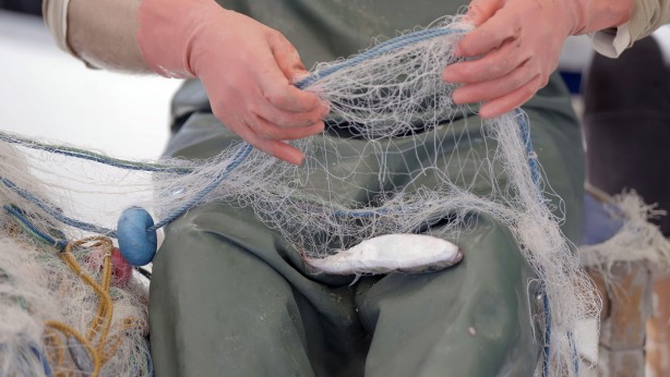 Foto - Enerjisa Enerji’den Adana Karataş’ta sürdürülebilir balıkçılığa tam destek!