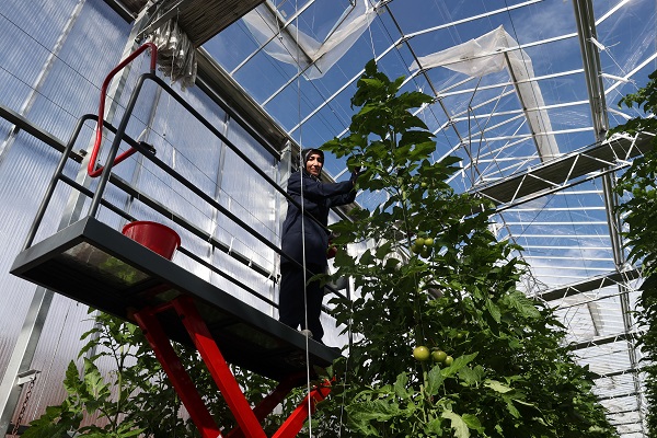 Foto - Enerjisi çöpten elde ediliyor, Avrupa’ya ihraç ediliyor