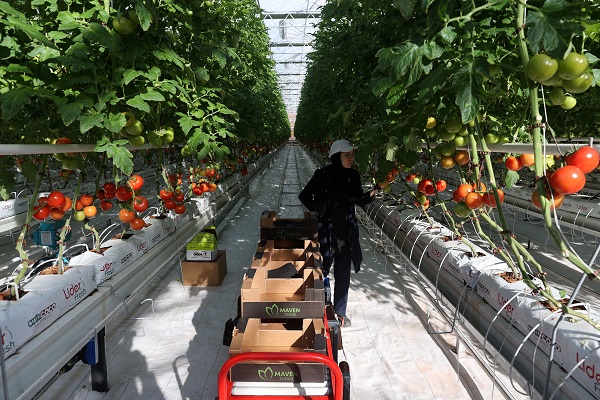 Foto - Enerjisi çöpten elde ediliyor, Avrupa’ya ihraç ediliyor