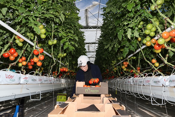 Foto - Enerjisi çöpten elde ediliyor, Avrupa’ya ihraç ediliyor