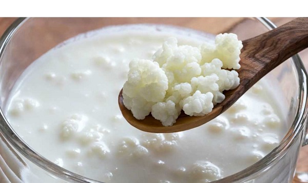 Foto - Enfeksiyondan depresyona kadar… Faydası saymakla bitmiyor…