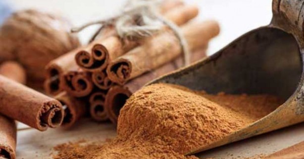 Foto - Enfeksiyonlara karşı etkili 10 doğal antibiyotik