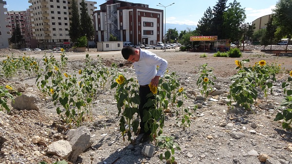 Foto - Enkaz altında kalan alandan ilginç manzara