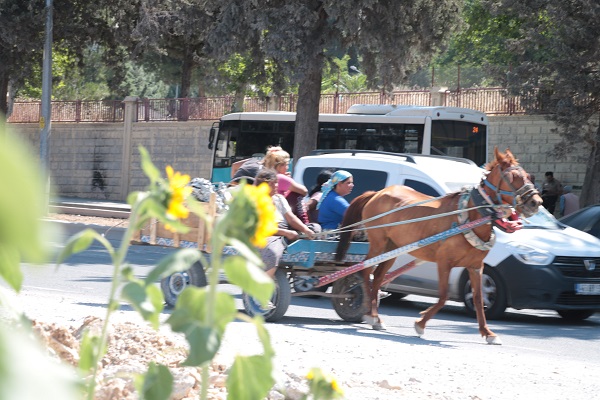 Foto - Enkaz altında kalan alandan ilginç manzara