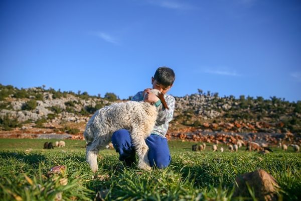 Foto - Enkaz altında kalan kuzularına günler sonra kavuştu