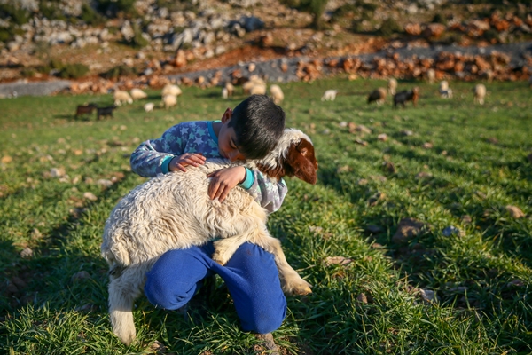 Foto - Enkaz altında kalan kuzularına günler sonra kavuştu