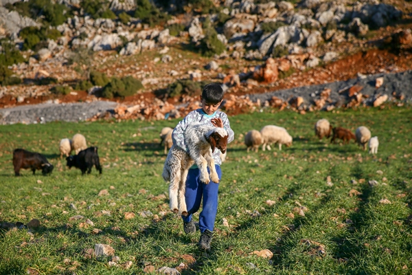 Foto - Enkaz altında kalan kuzularına günler sonra kavuştu