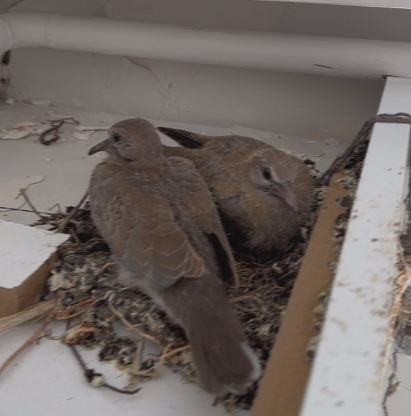 Foto - Enkazda yürekleri ısıtan manzara