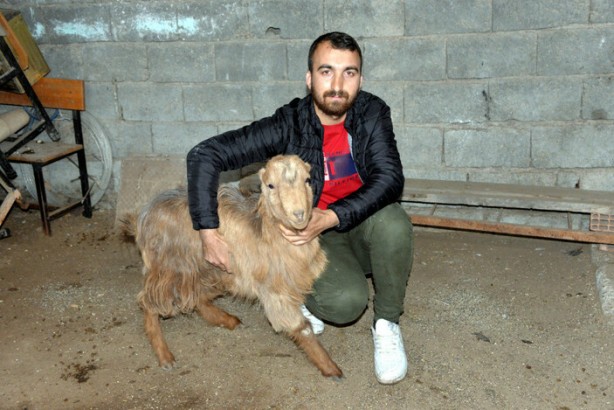 Foto - Enkazdan 47 gün sonra sağ olarak çıkarıldı! Herkes şok geçirdi