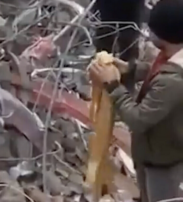 Foto - Enkazdan çıkarılan değerli eşyalar oraya gidiyor