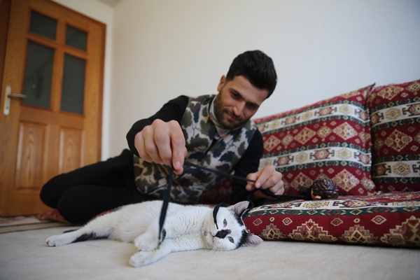 Foto - Enkazdan kurtararak sahiplendiği kediyi kucağından düşürmüyor