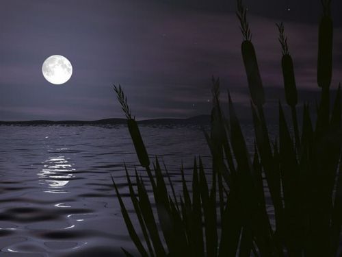 Foto - Enterasan zeka soruları