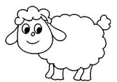 Foto - Enterasan zeka soruları