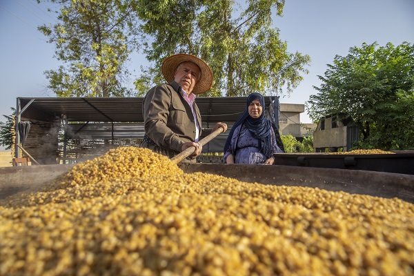 Foto - Erbil'de "Bulgur Kaynatma" Geleneği