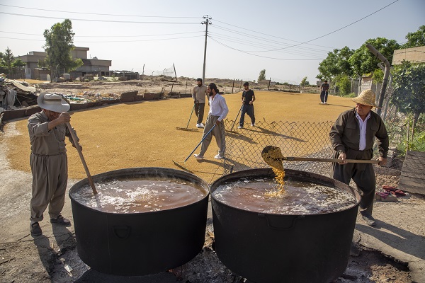 Foto - Erbil'de "Bulgur Kaynatma" Geleneği
