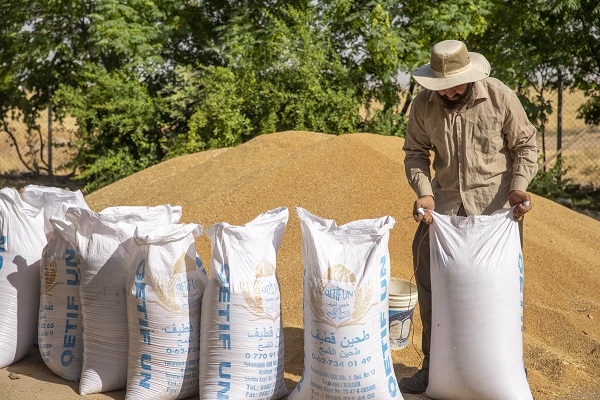 Foto - Erbil'de "Bulgur Kaynatma" Geleneği
