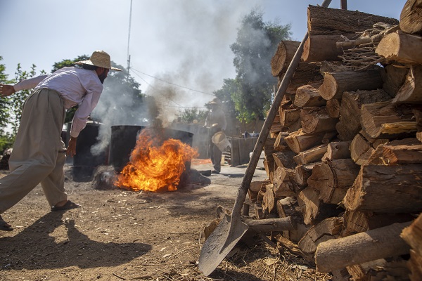 Erbil'de "Bulgur Kaynatma" Geleneği
