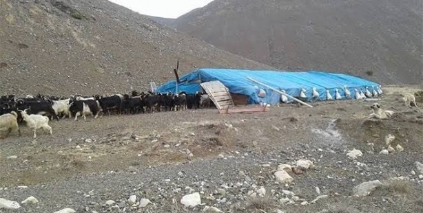 Foto - Erciş’te çobanlar arasında kavga