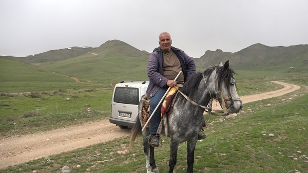 Foto - Erciş'te kenger mesaisi başladı! 