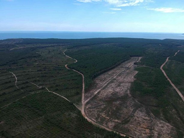 Foto - Erdoğan duyurdu! O bölge böyle görüntülendi